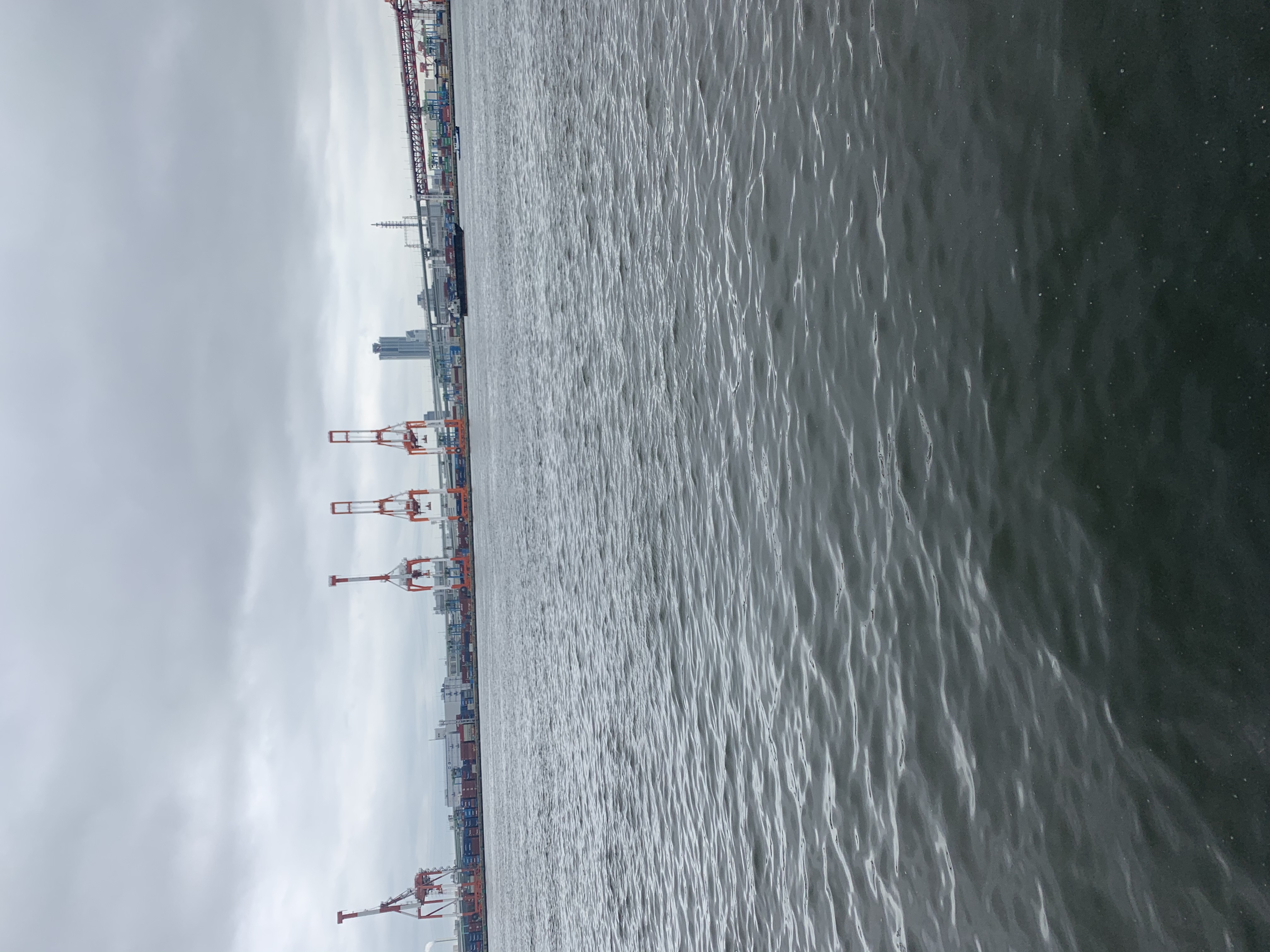 4月25日(土)  9点入荷。