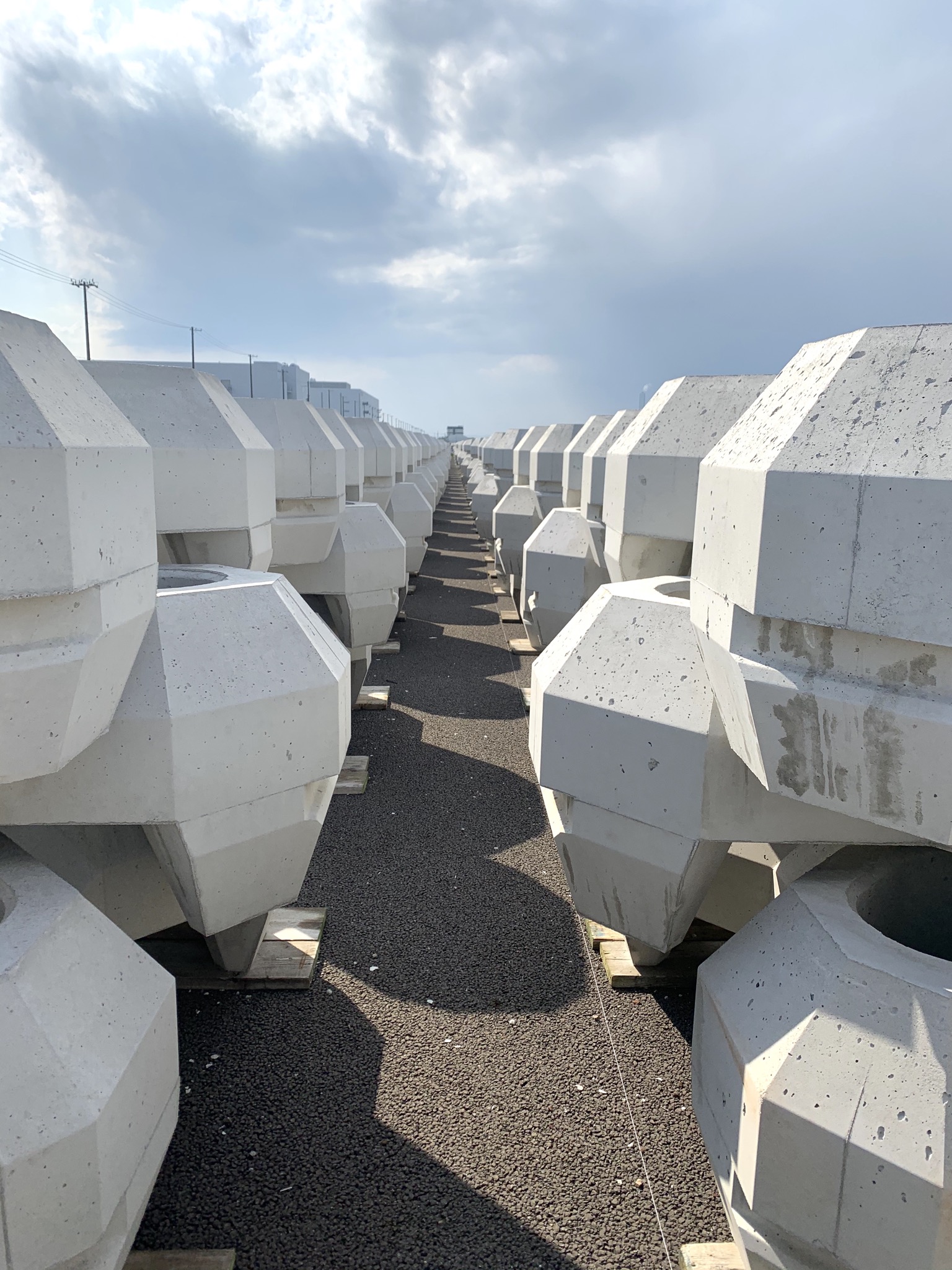 4月最後の洒落気入荷