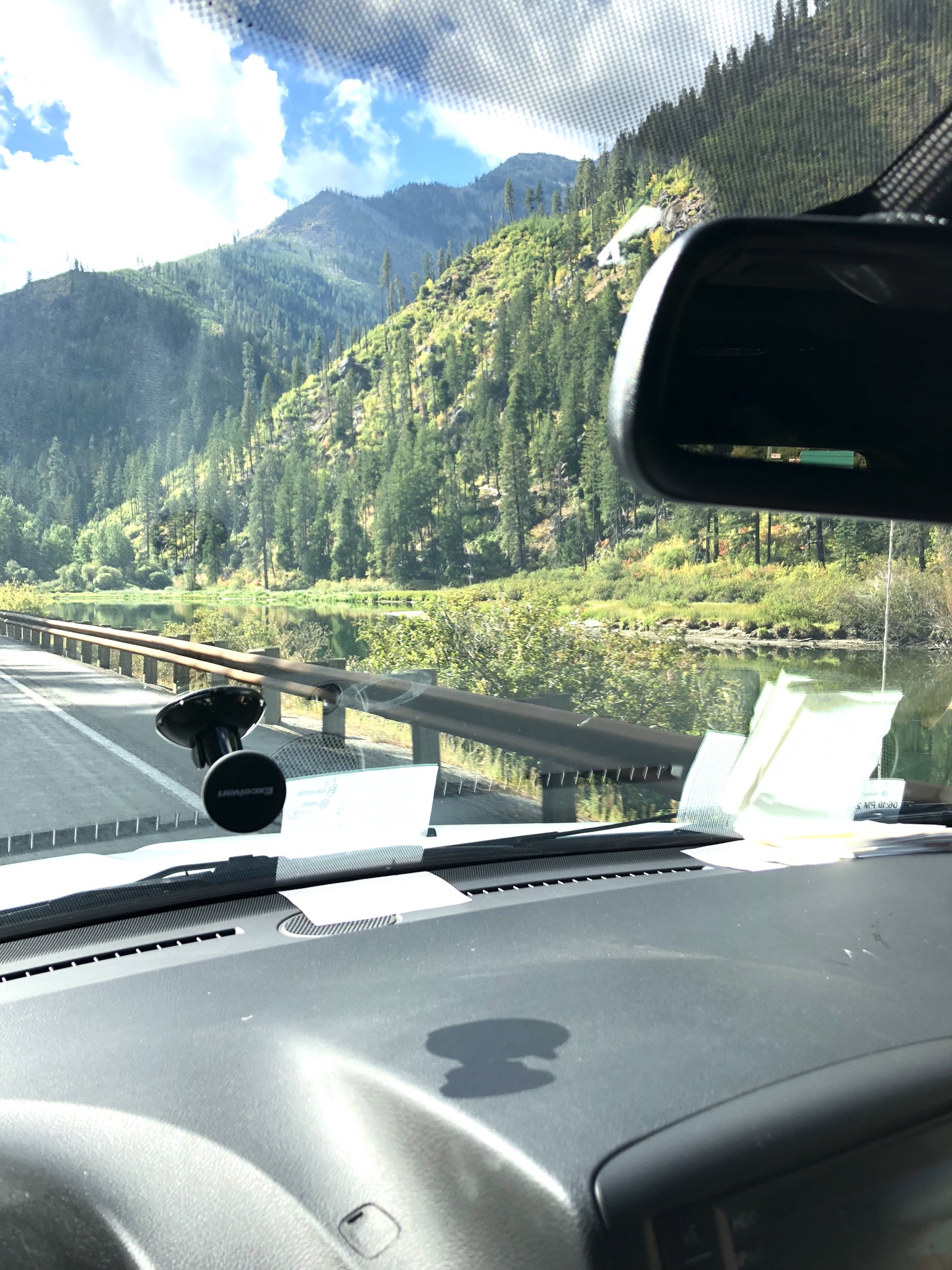 4月22日(水) レギュラー入荷