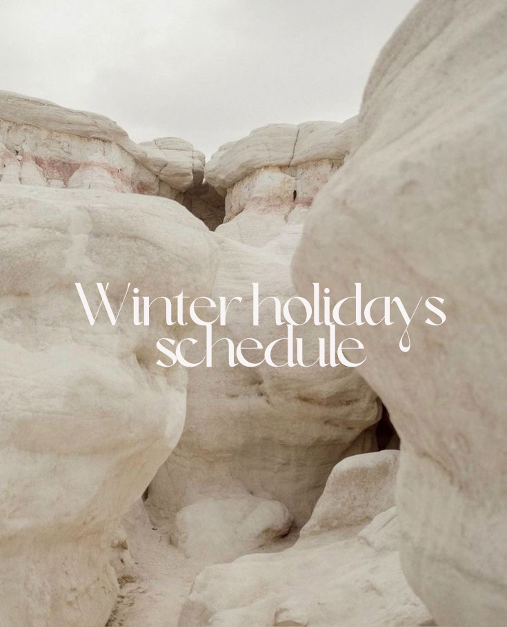 Winter Holidays Schedule/年末年始のお知らせ