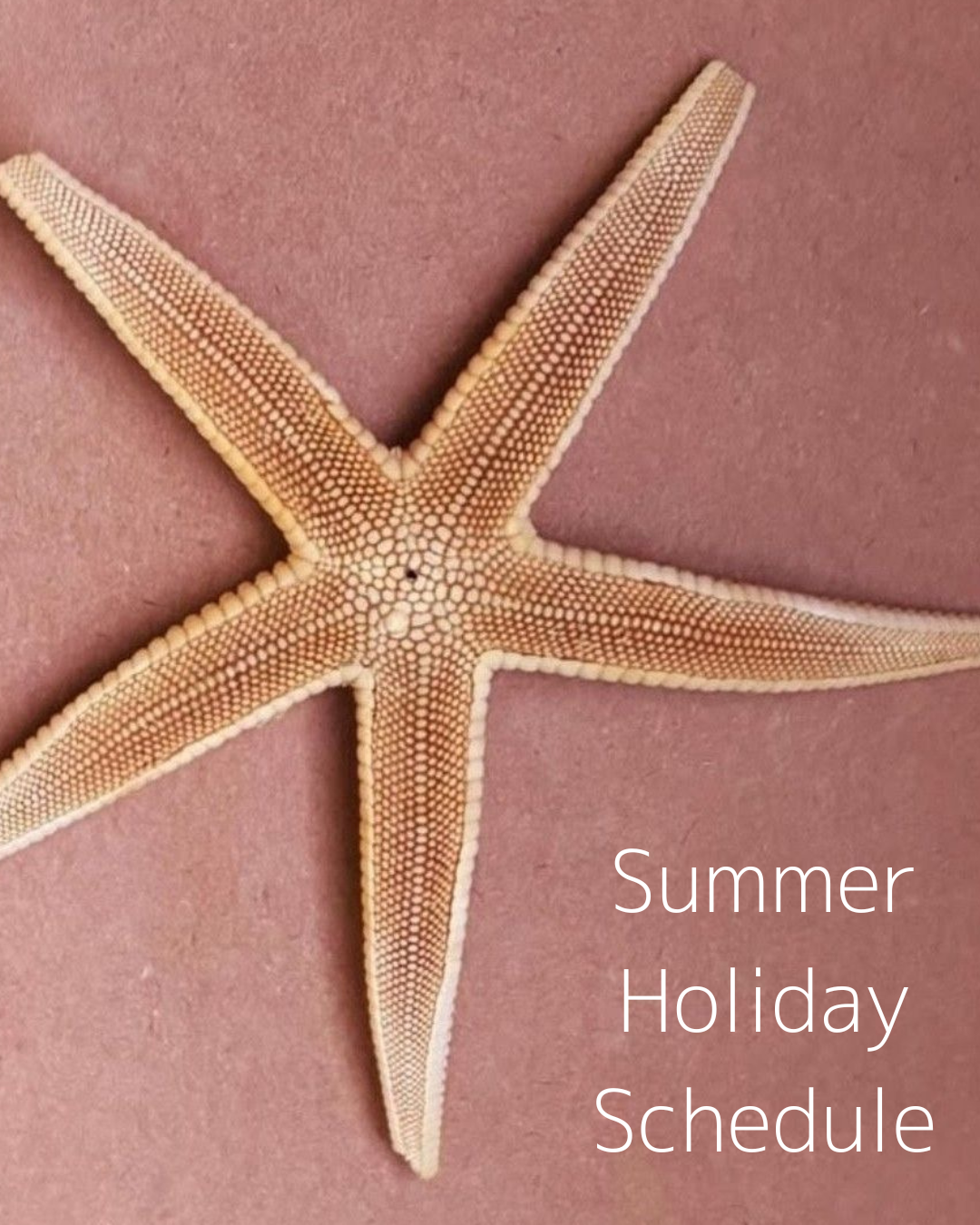 Summer Holiday Schedule