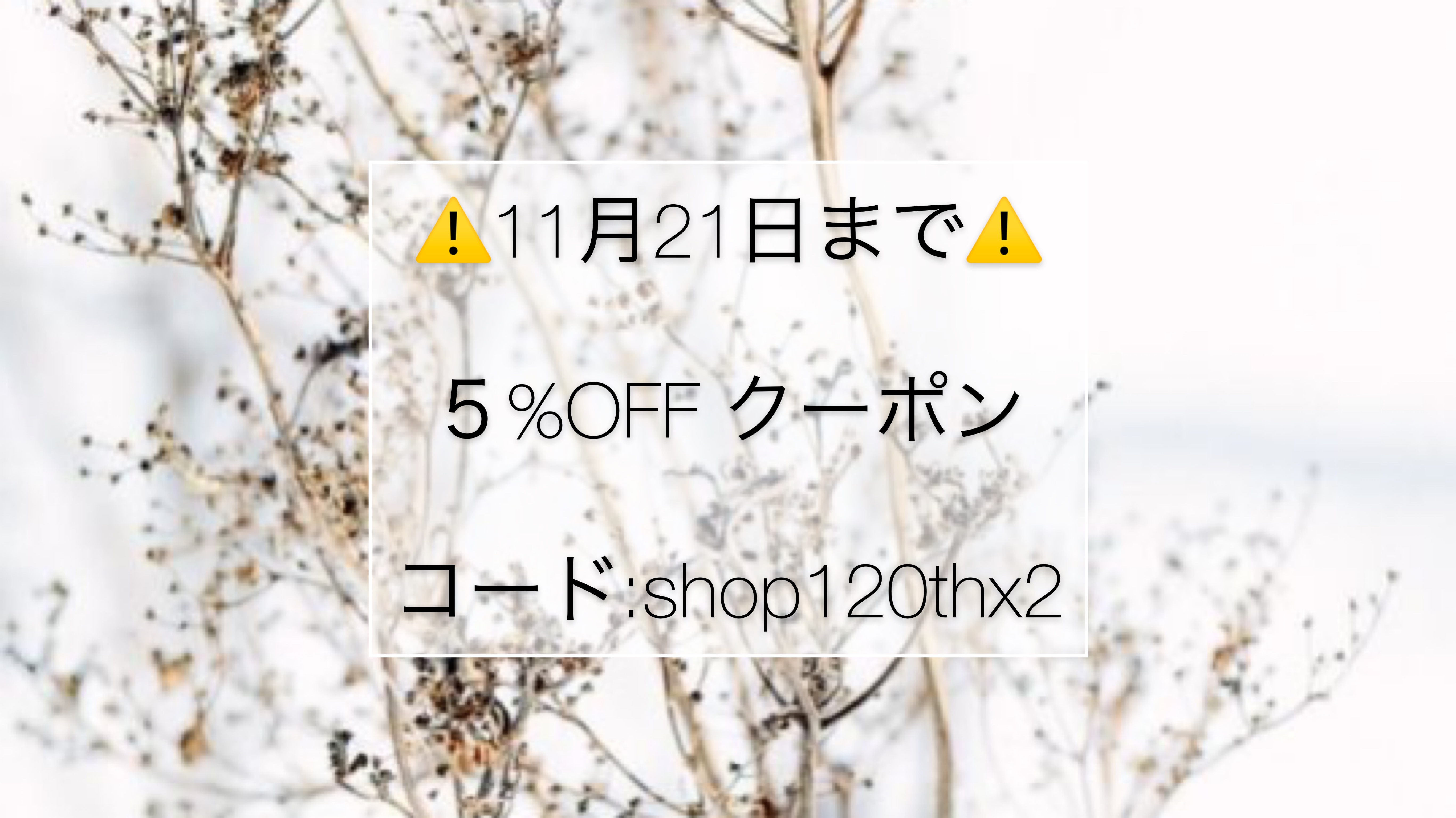 ５%OFFクーポン