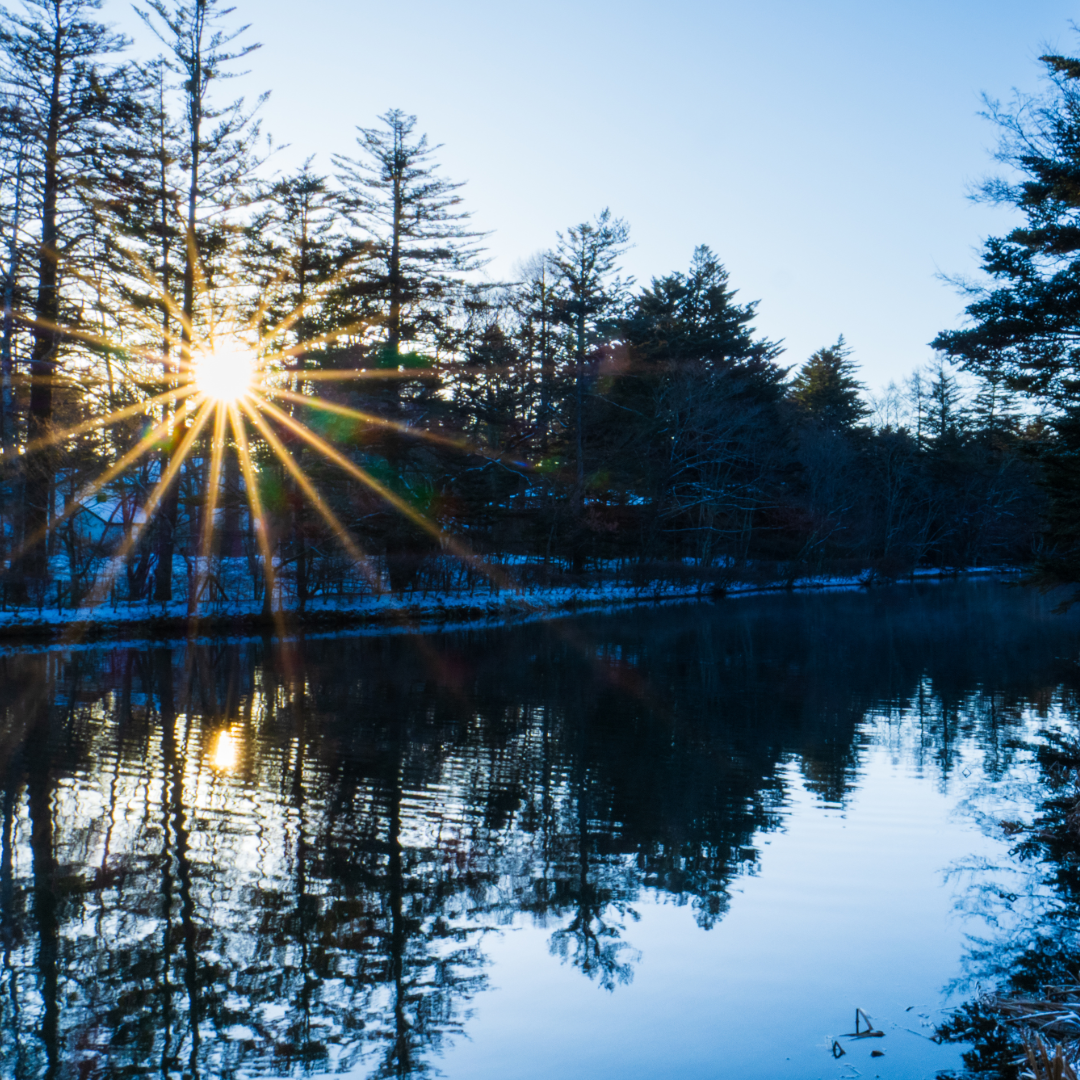 軽井沢 雲場池から