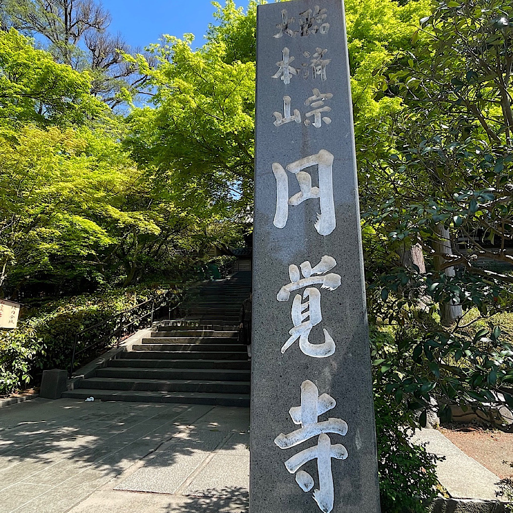 鎌倉からひと山越えて