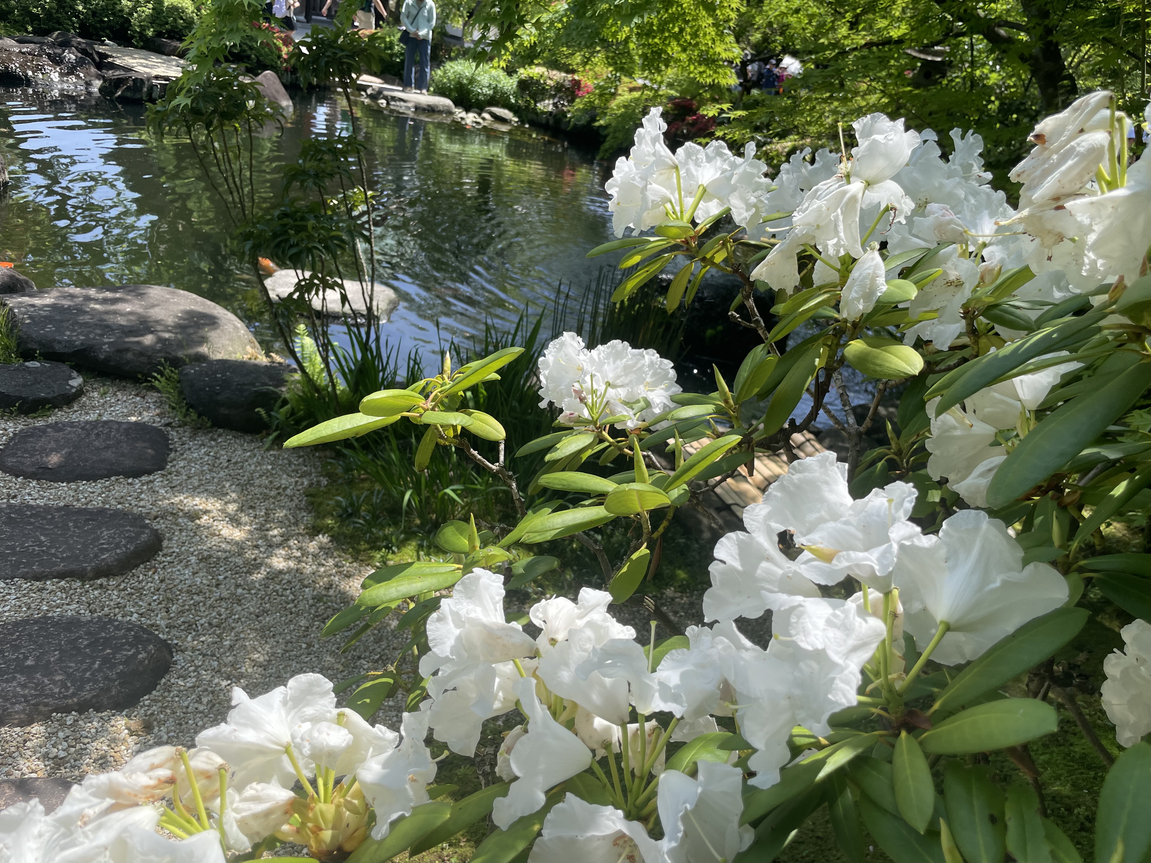 立夏をむかえて