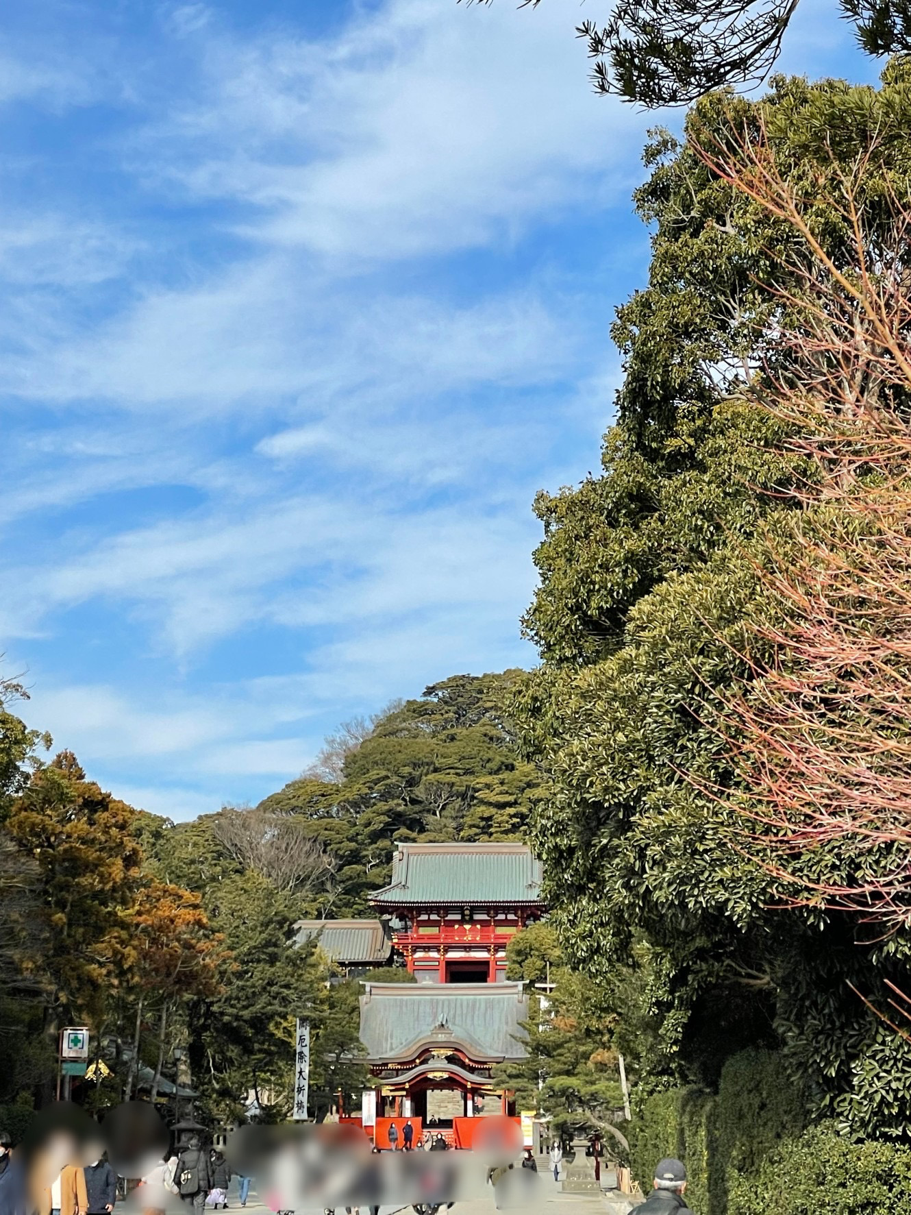 鎌倉殿の13人⑥