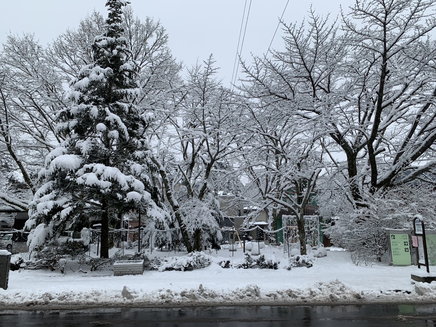軽井沢　春雪
