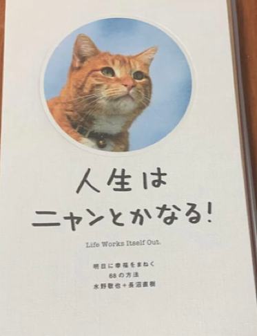 ニャンとか