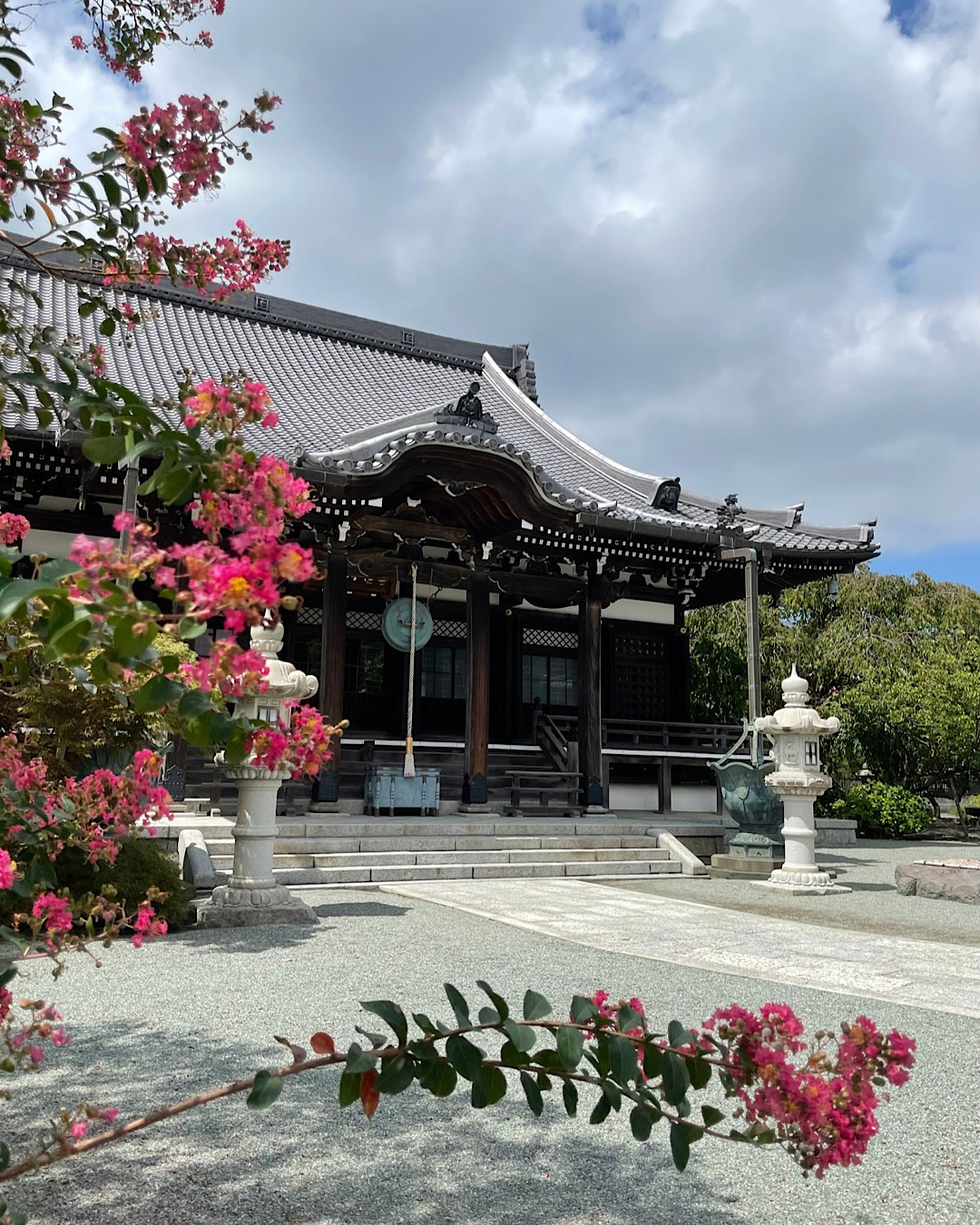 鎌倉　花さんぽ