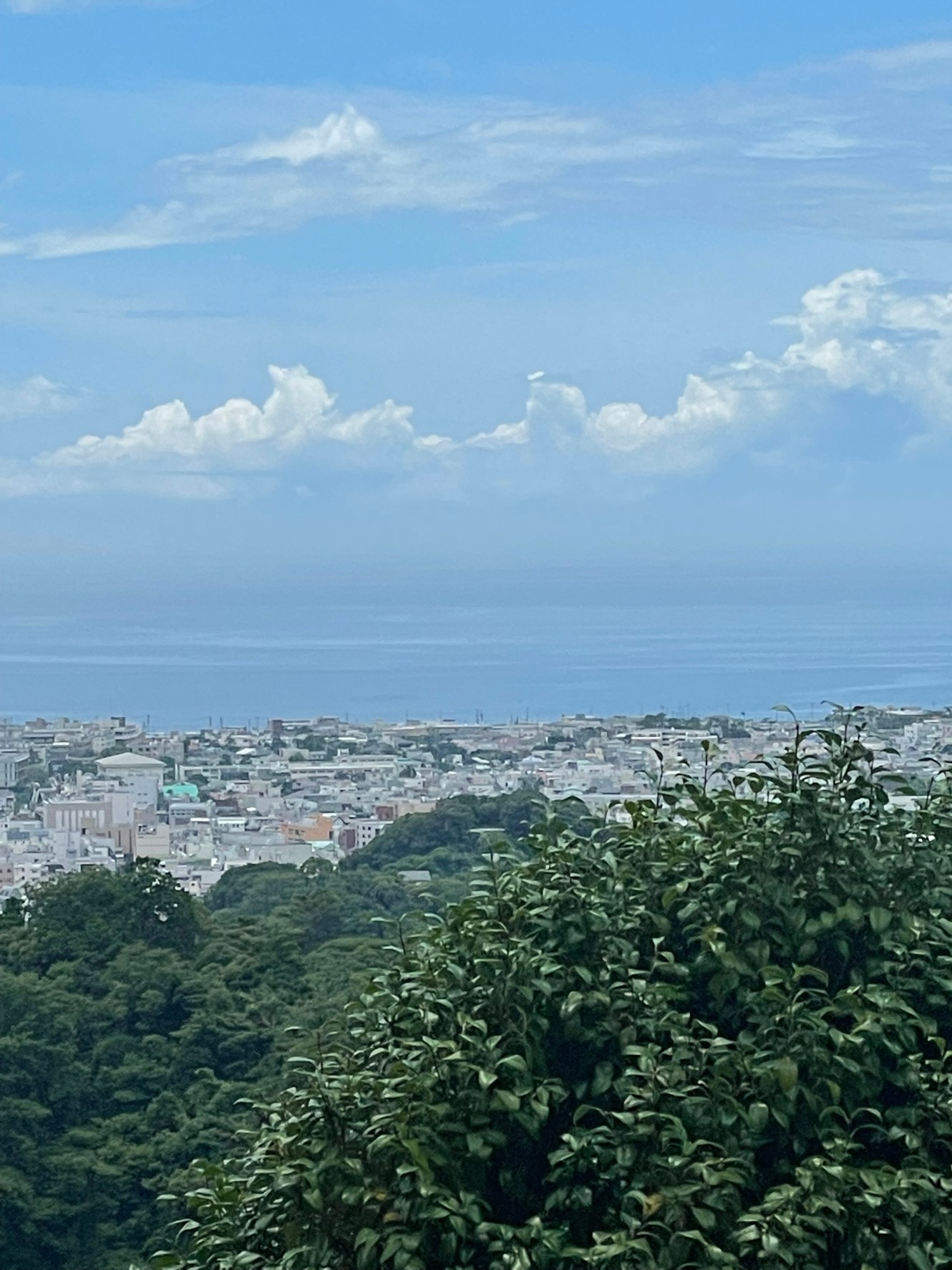 湘南　夏