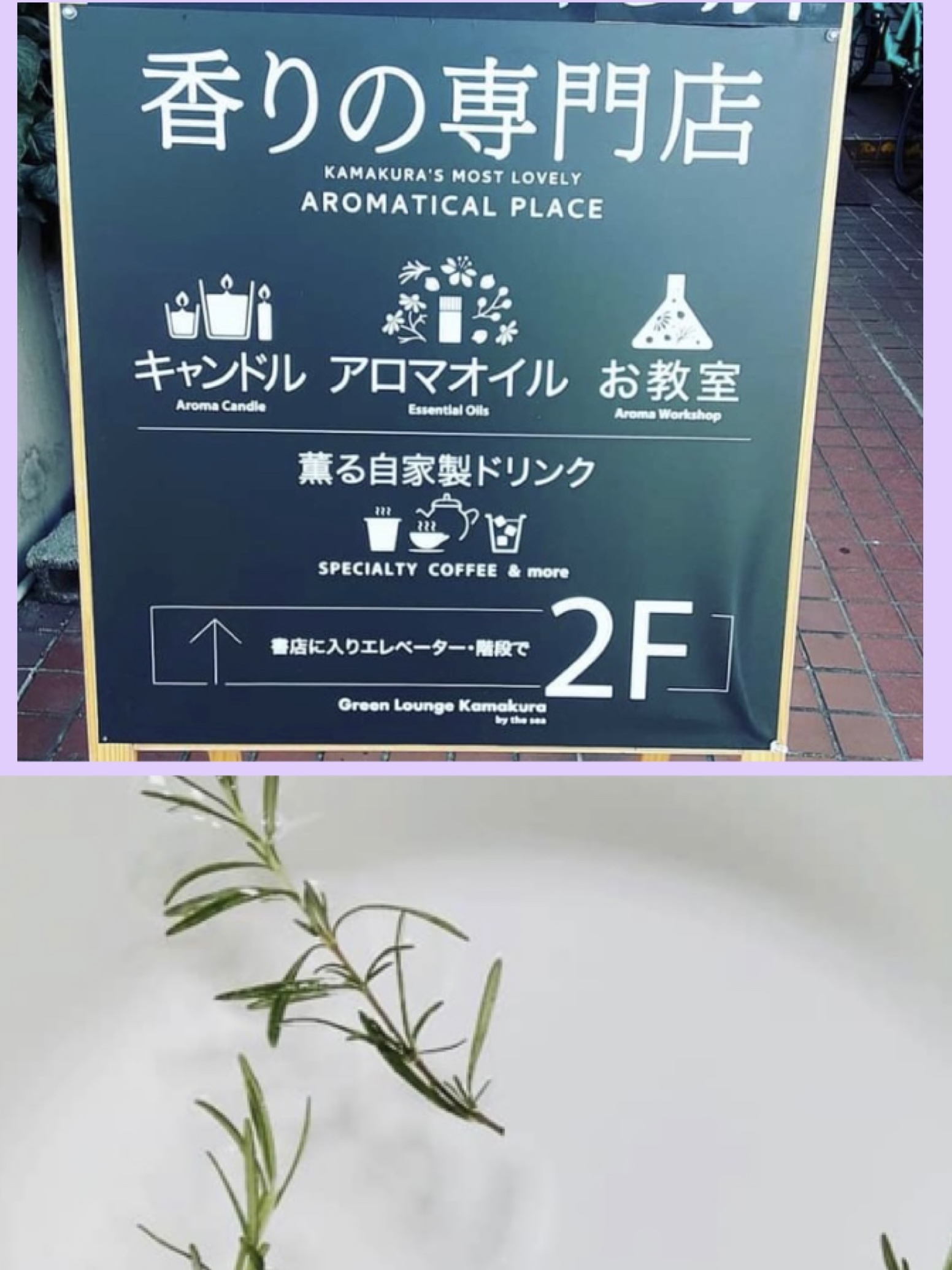 鎌倉からアロマ