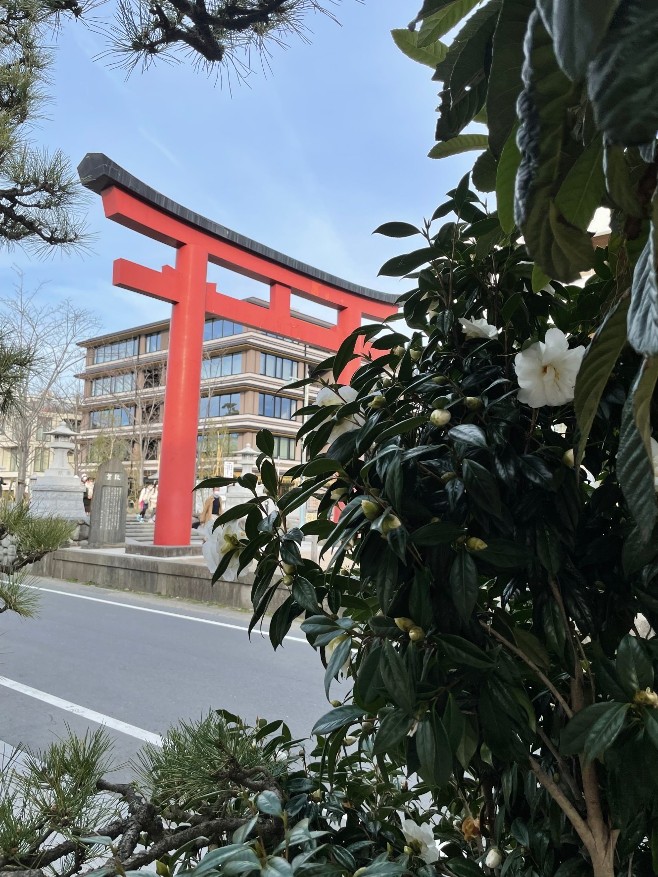鎌倉から春一番