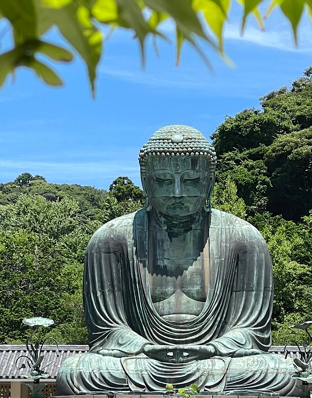 土潤溽暑 （つち　うるおうて むしあつし）