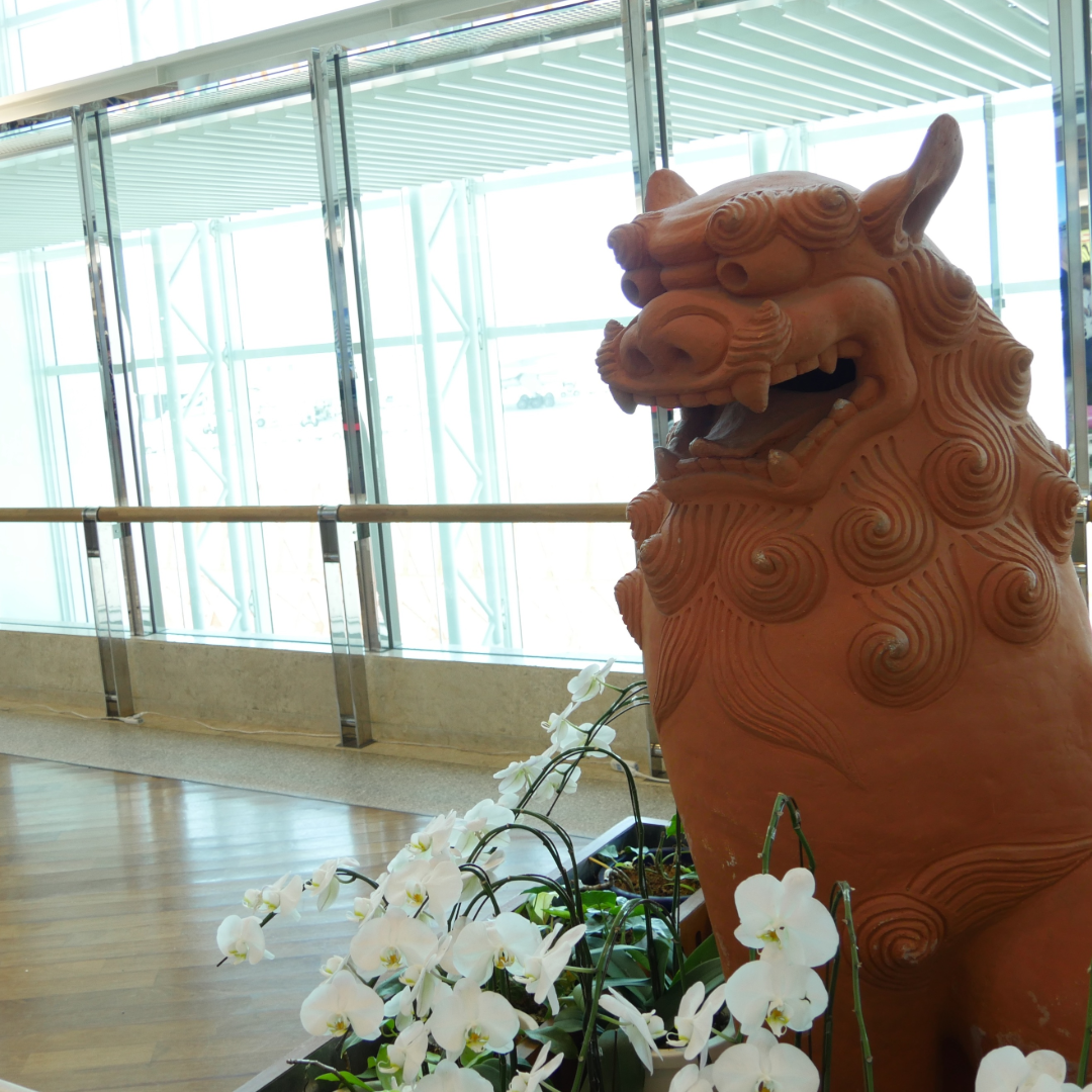 沖縄でお迎えされた