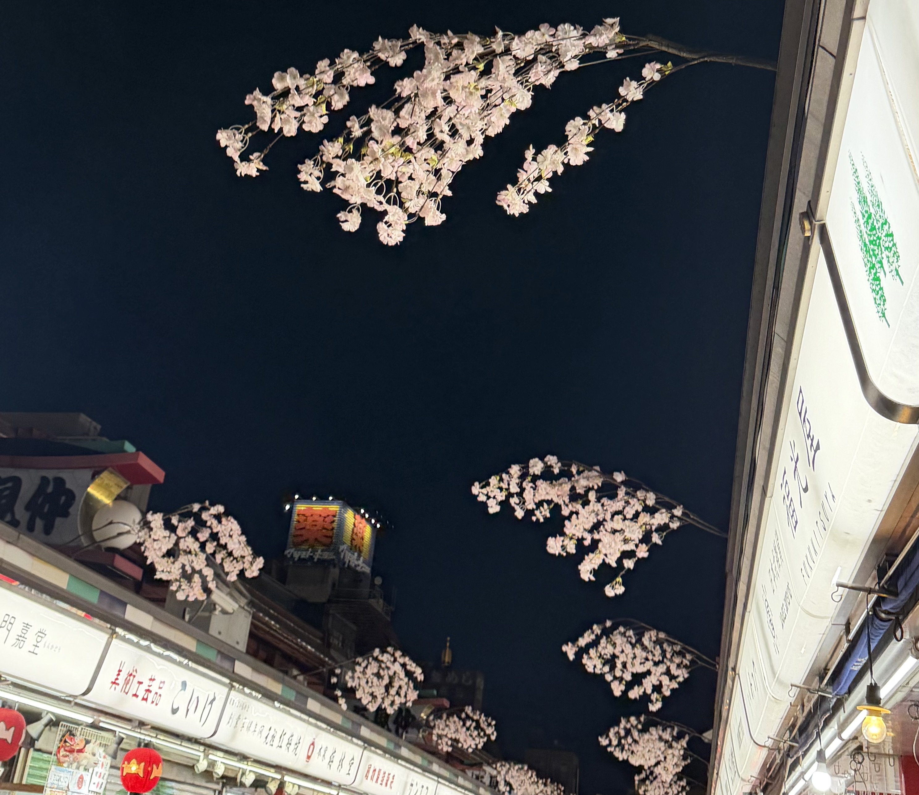 ひな祭り　浅草