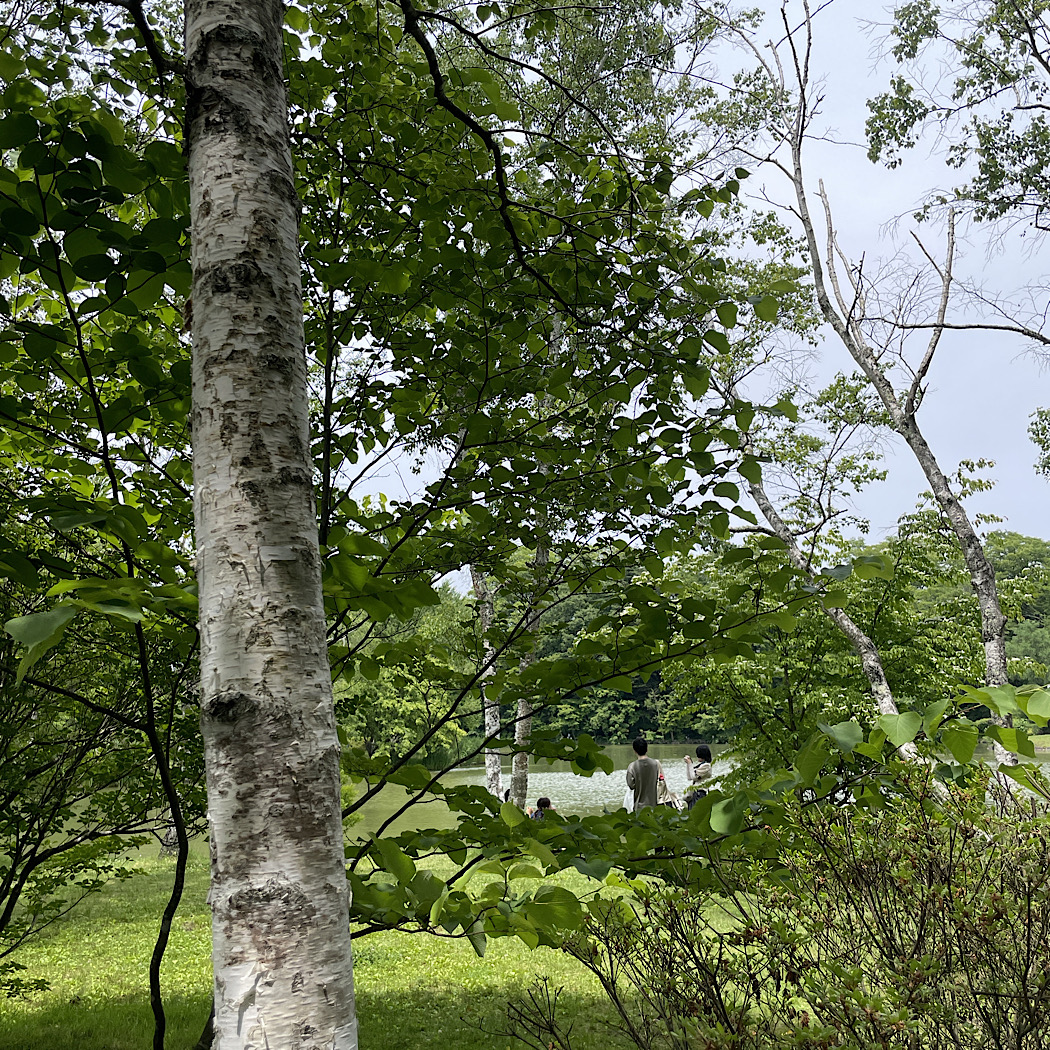 軽井沢　夏