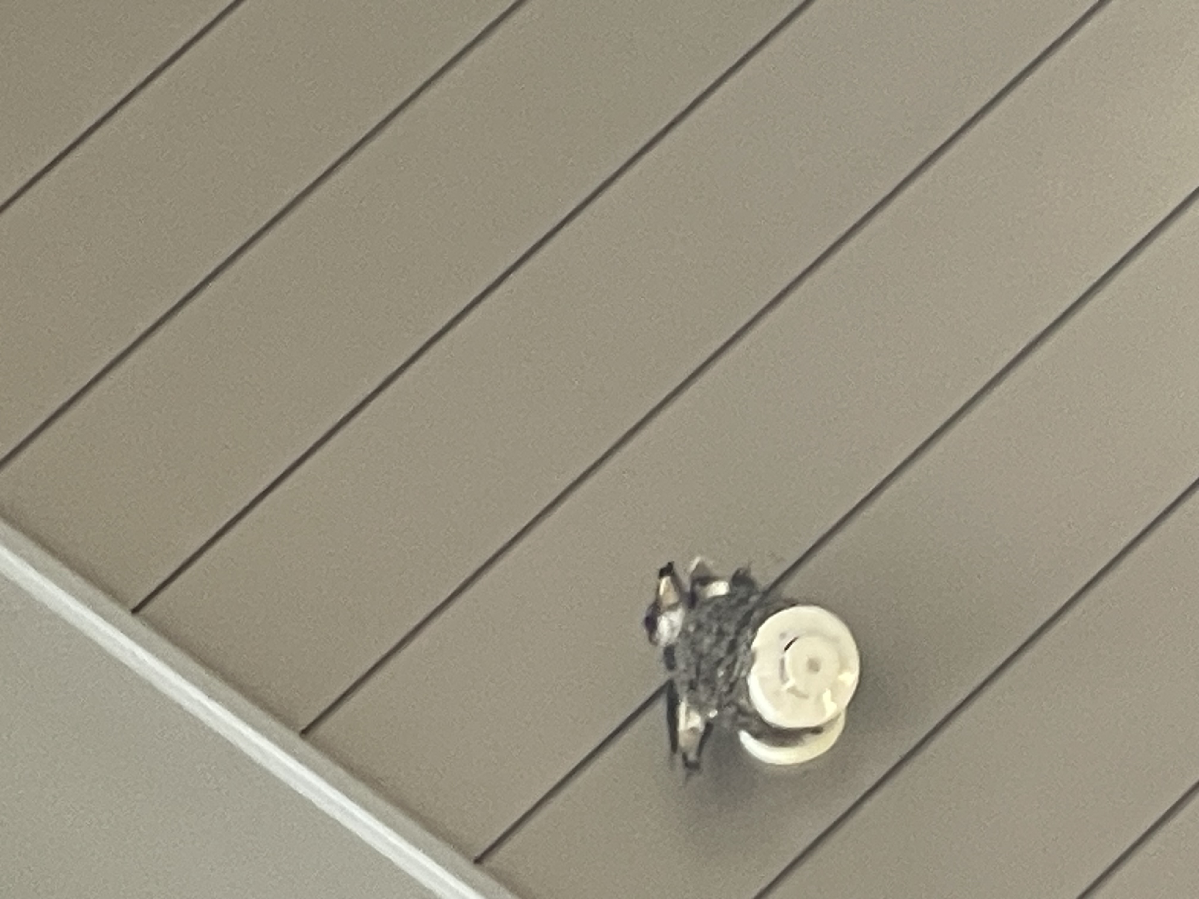 鎌倉からあふれた優しさ