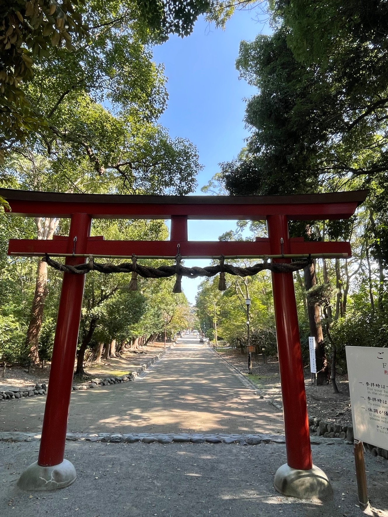 鶴岡八幡宮　秋たんさく