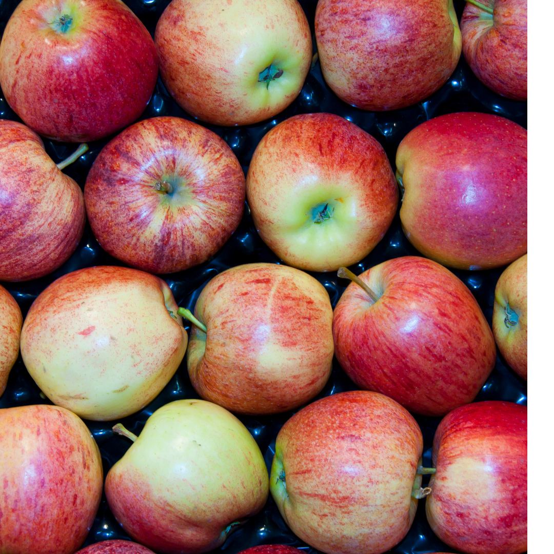 リンゴ　りんご