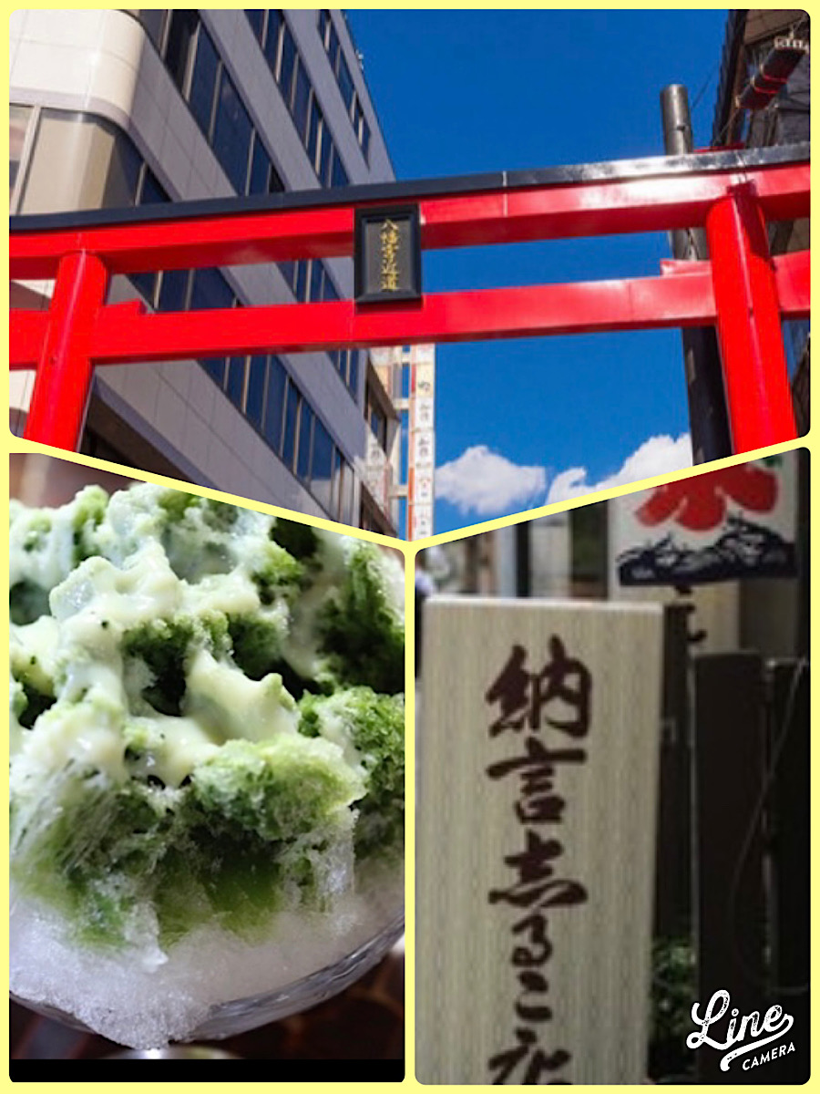 初夏の鎌倉