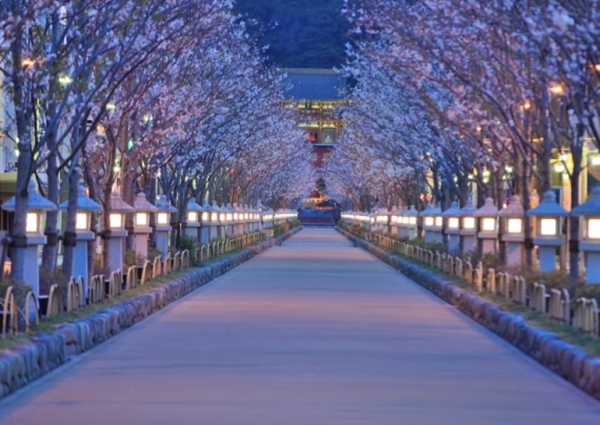 Happy holiday 鎌倉