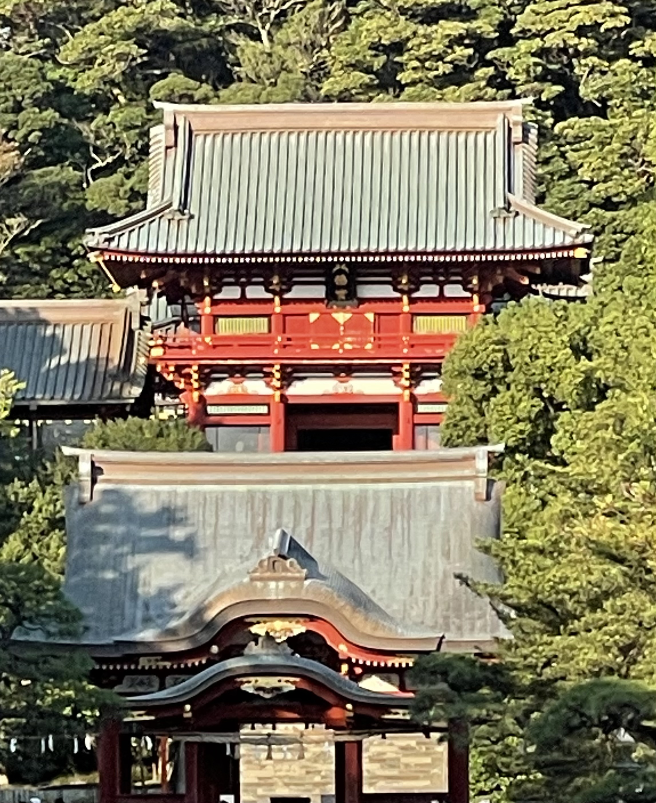 いいハコ　鎌倉幕府