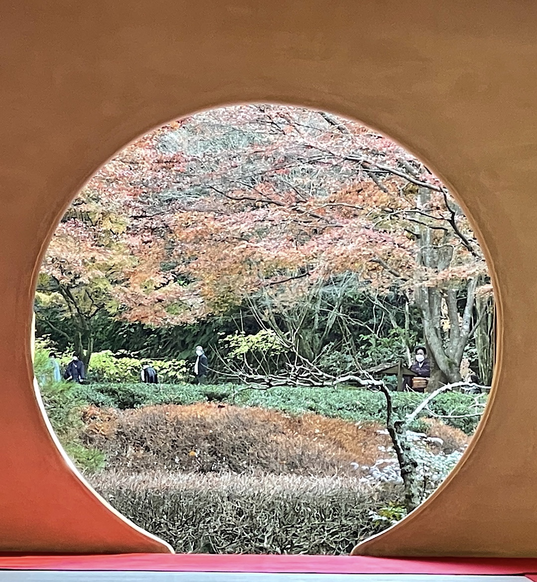 鎌倉　紅葉だより