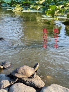 感謝をこめて