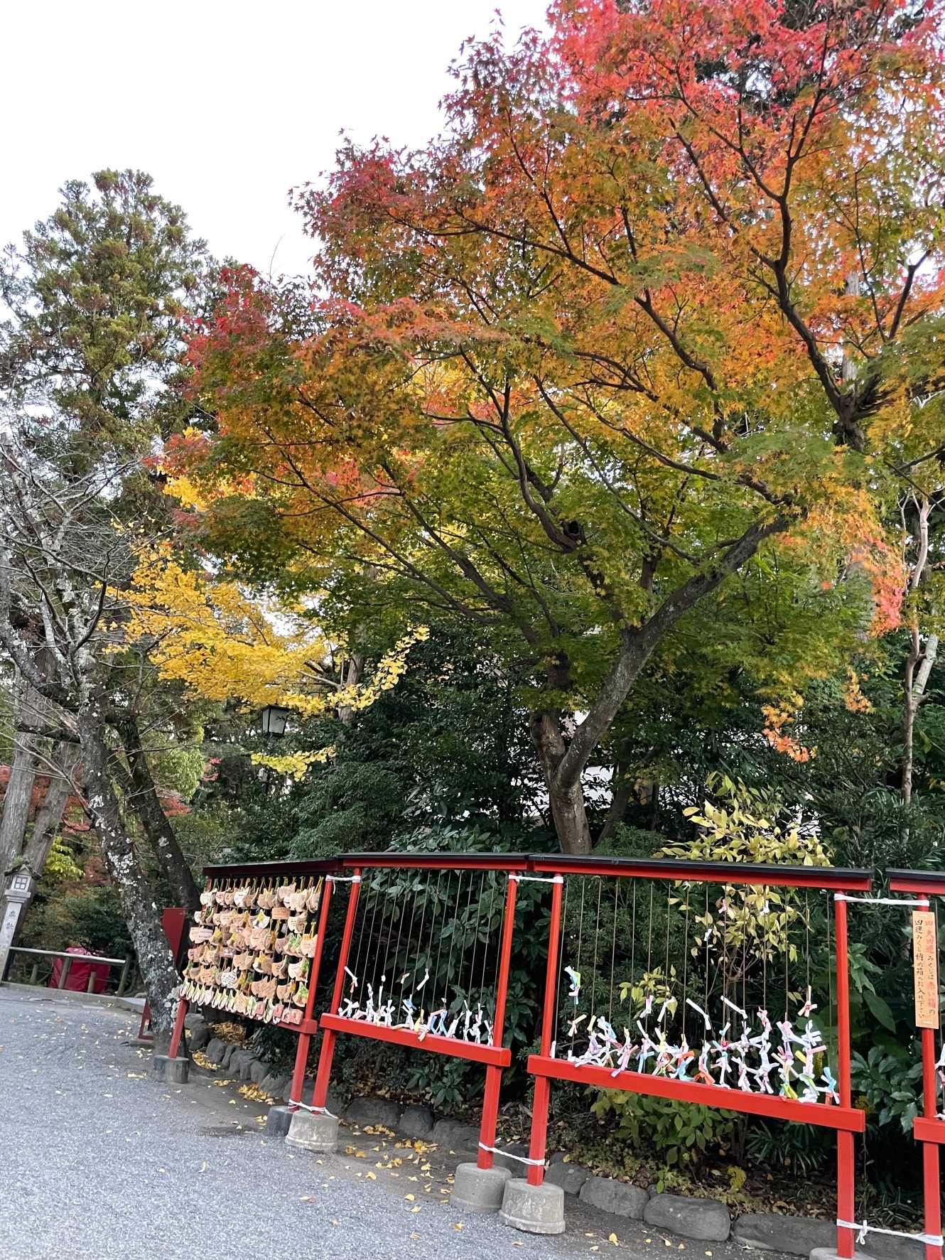 熊蟄穴 (くま　あなに　こもる)