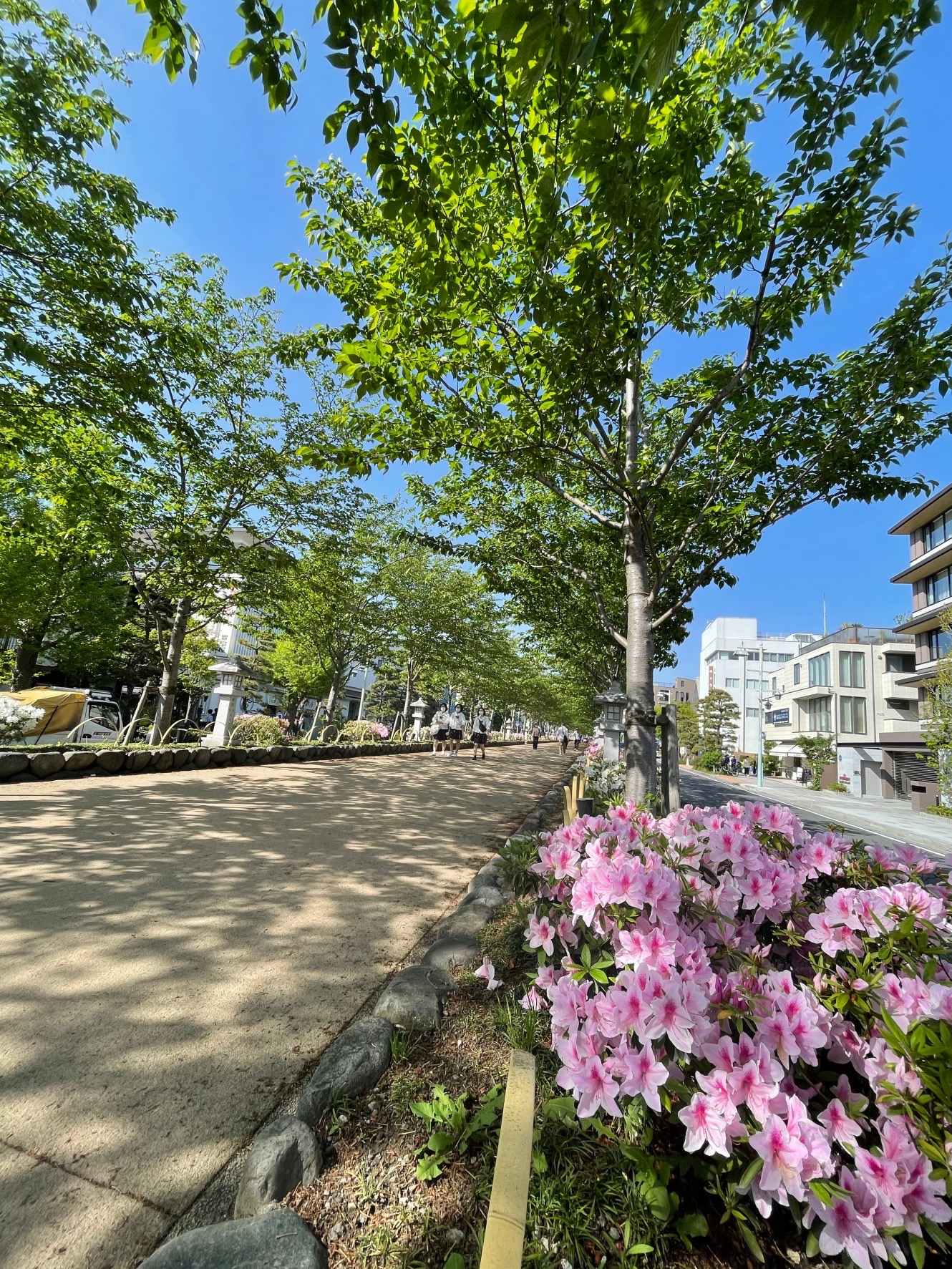 鎌倉　春てんき