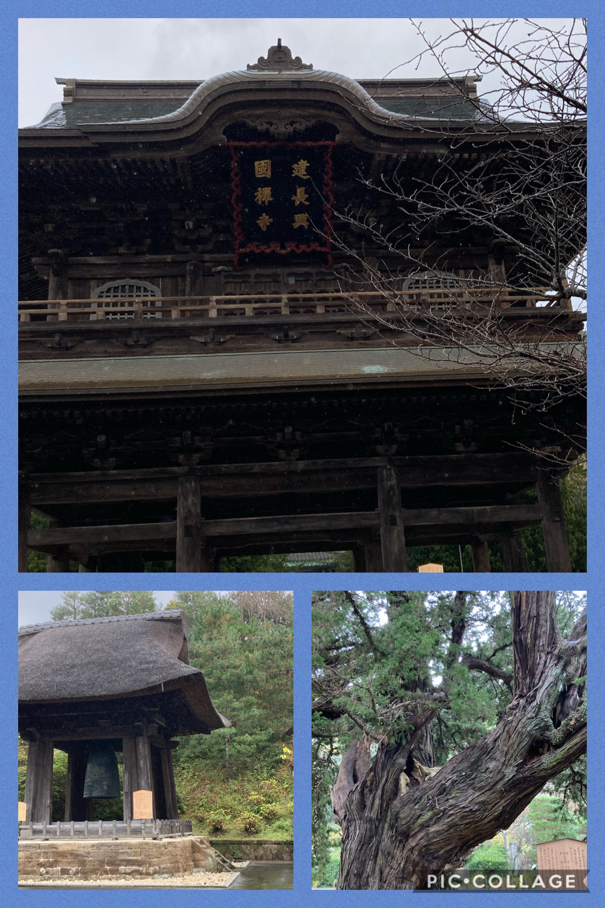 龍にパワーを