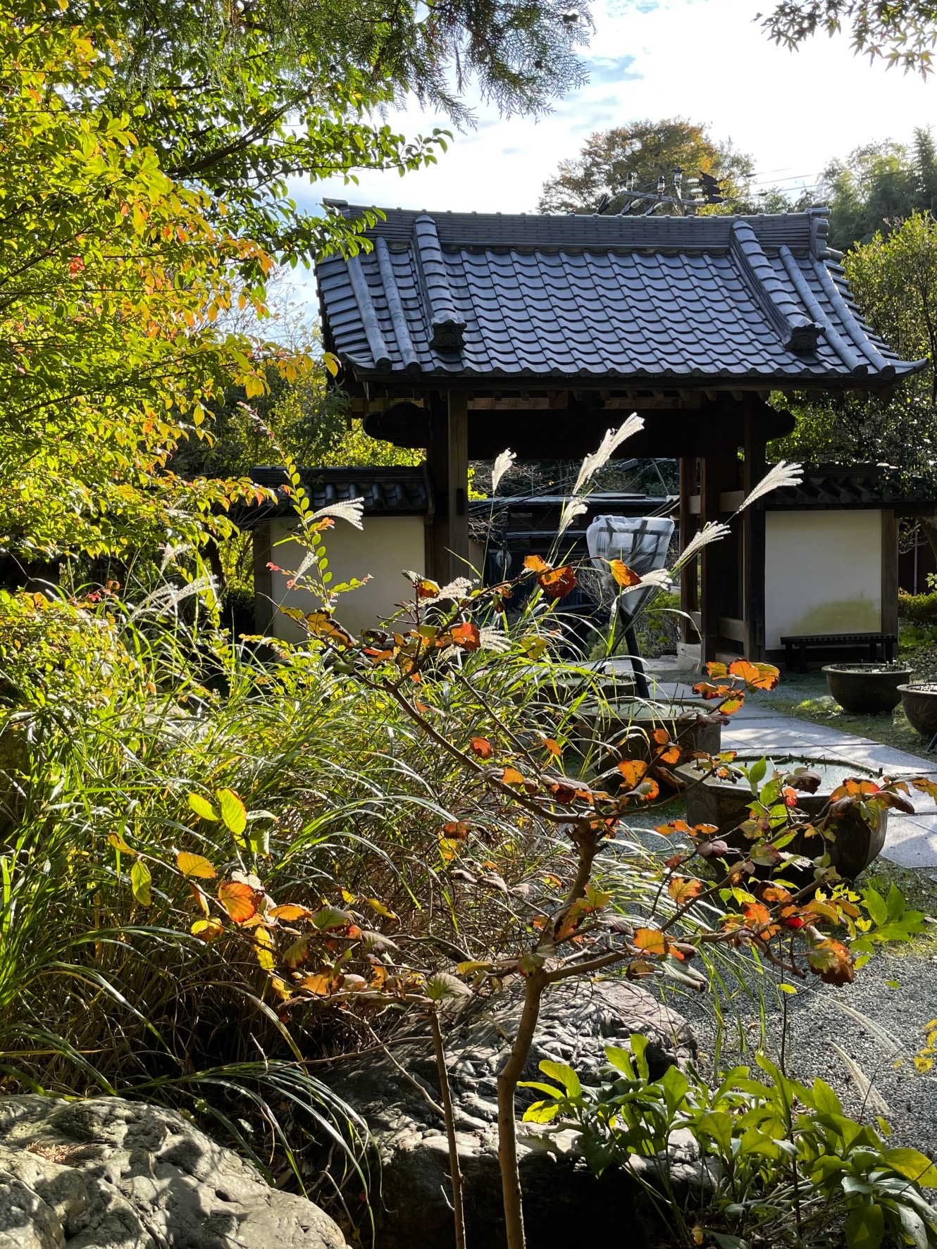 覚園寺(かくおんじ)へ