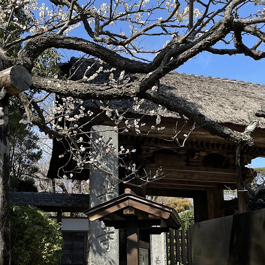 鎌倉　極楽寺へ