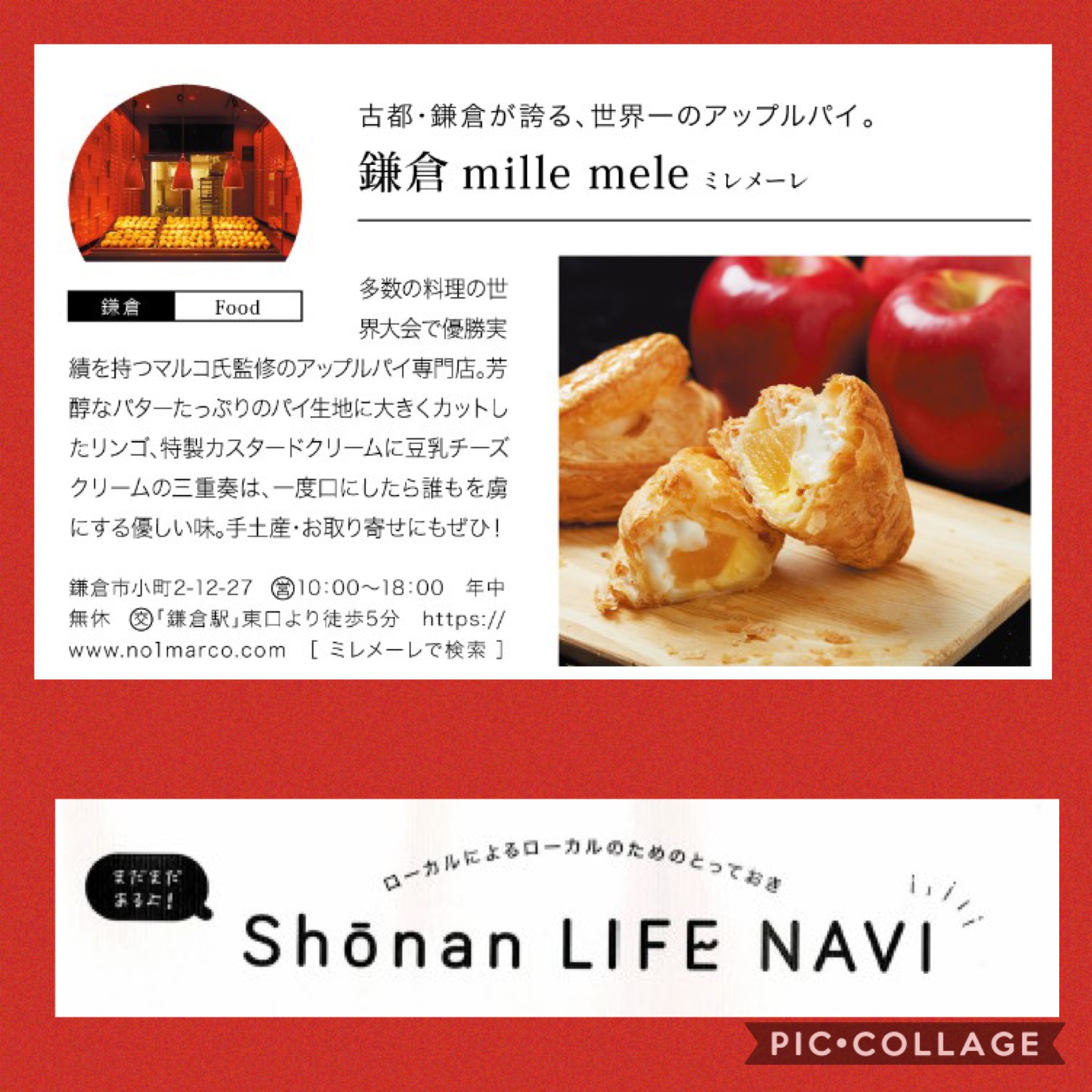 雑誌掲載のお知らせ