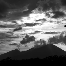 軽井沢　虫の声