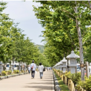鎌倉　5月を迎えて
