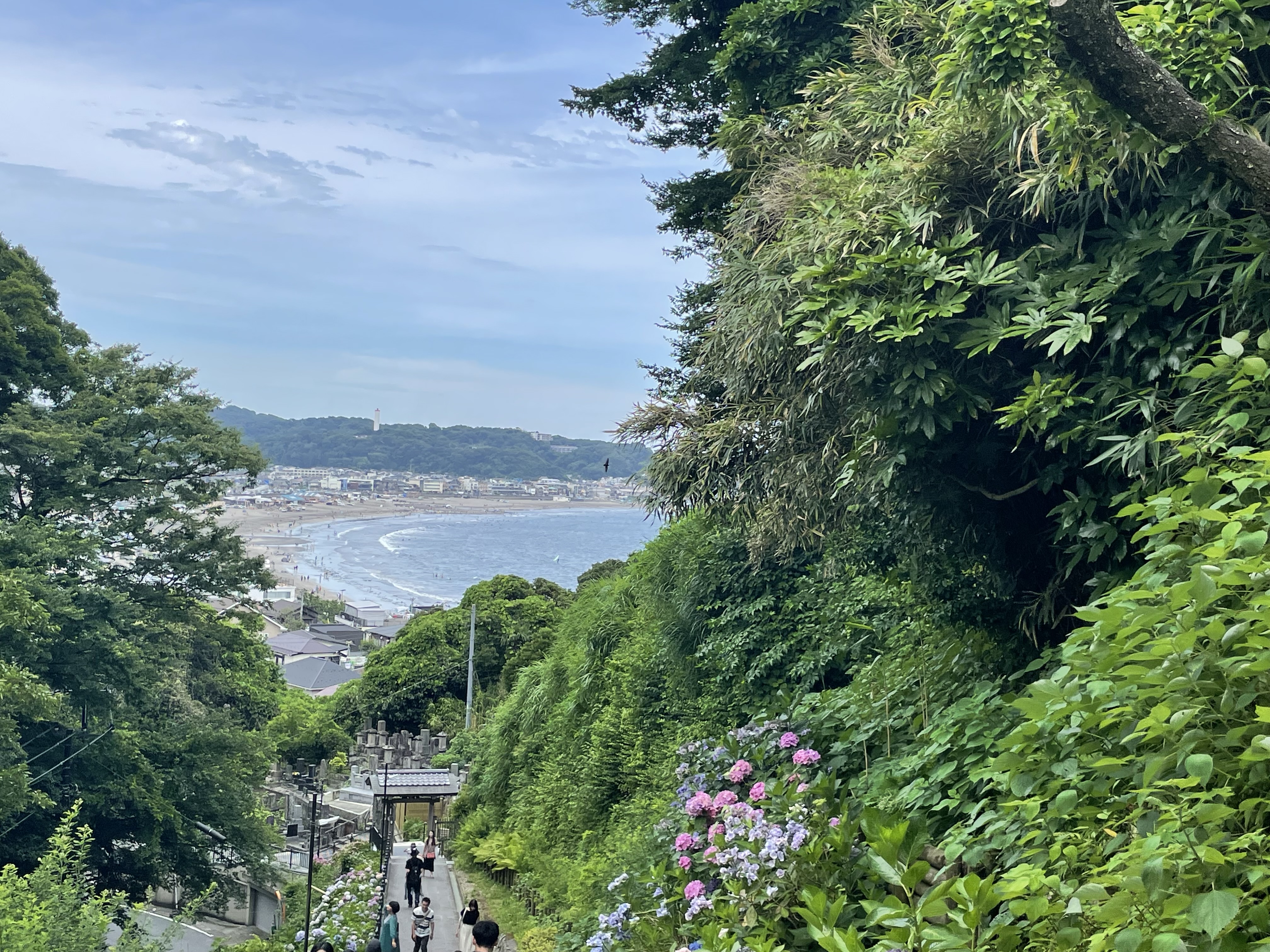 好きな鎌倉