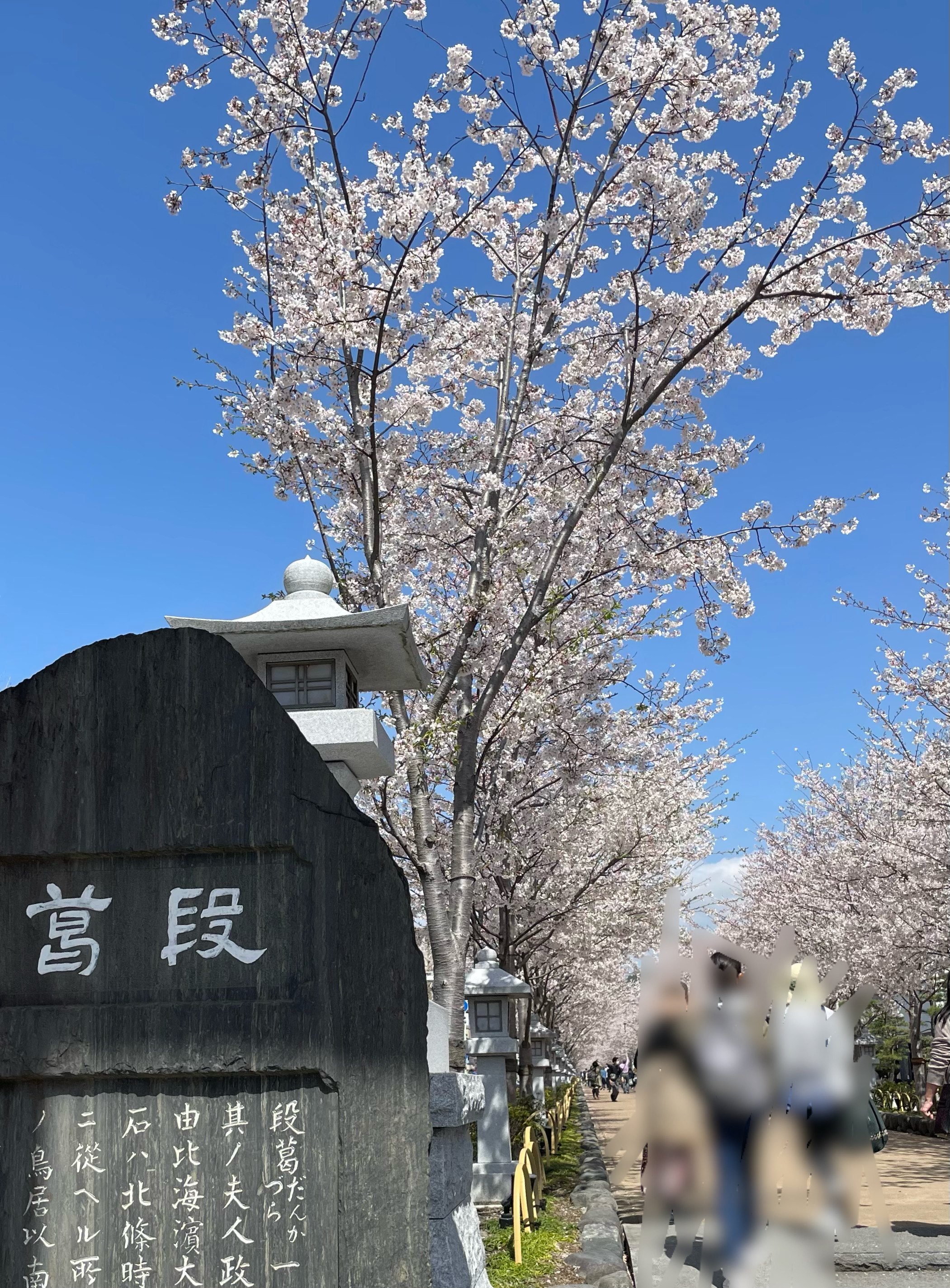 鎌倉　梅から桜へ