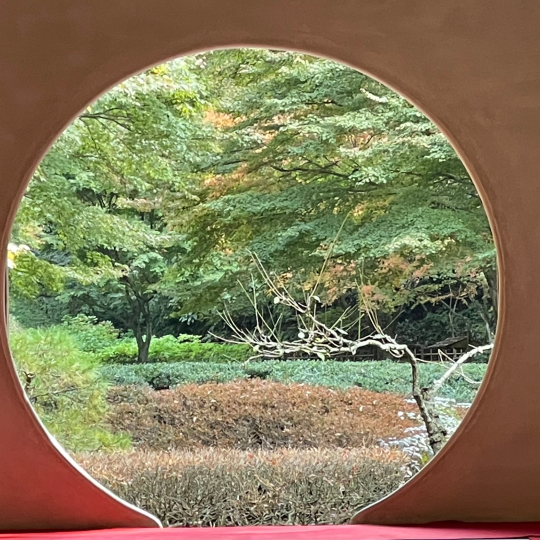 鎌倉365明月院