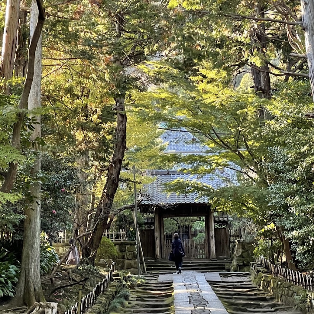 珠玉の鎌倉