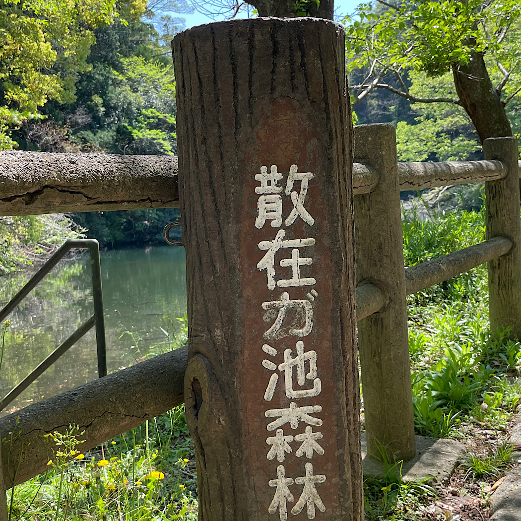 奥鎌倉　散在が池森林公園