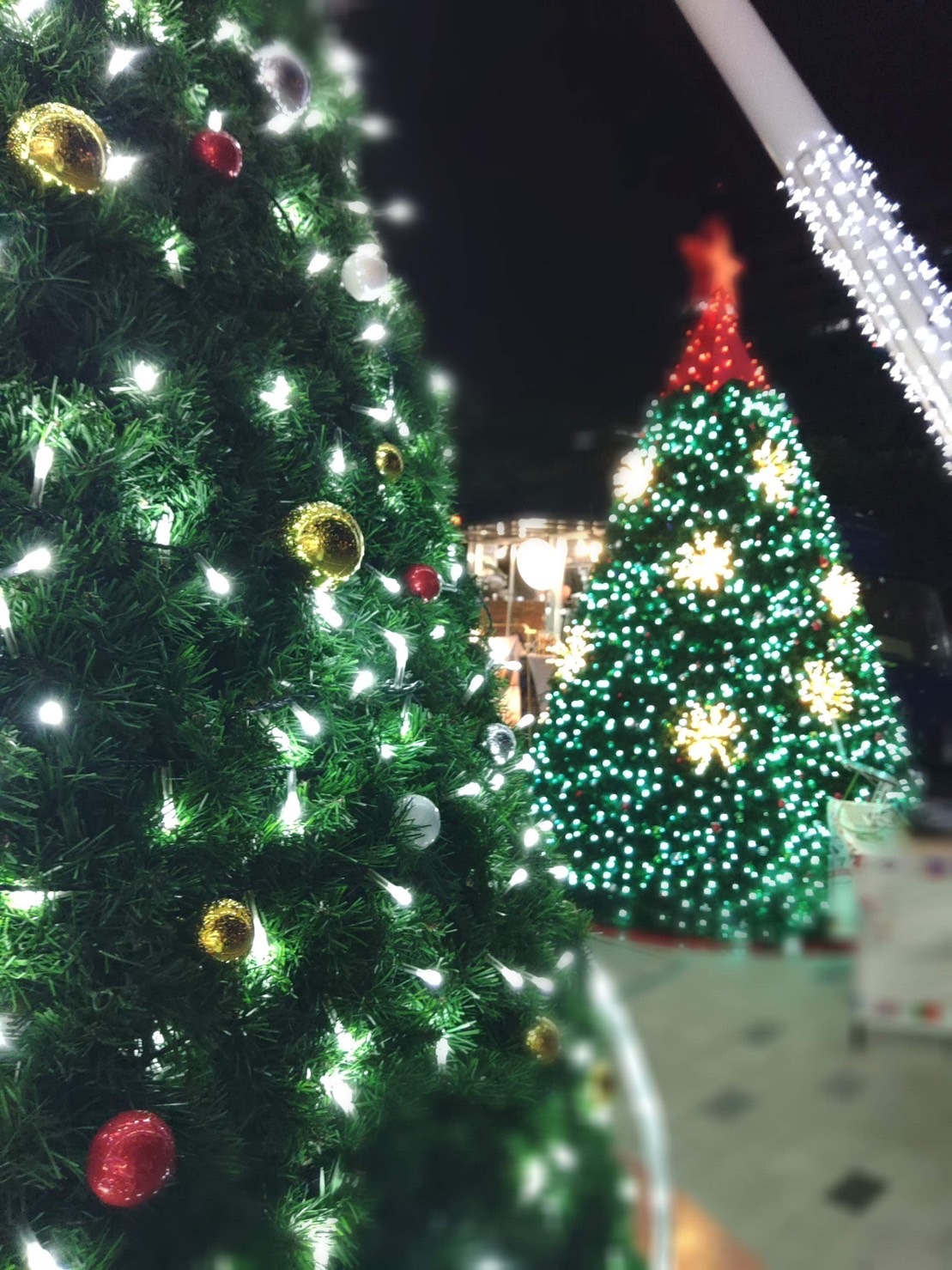 沖縄　クリスマス