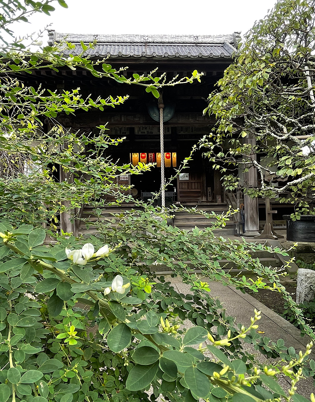 鎌倉殿の13人(15)