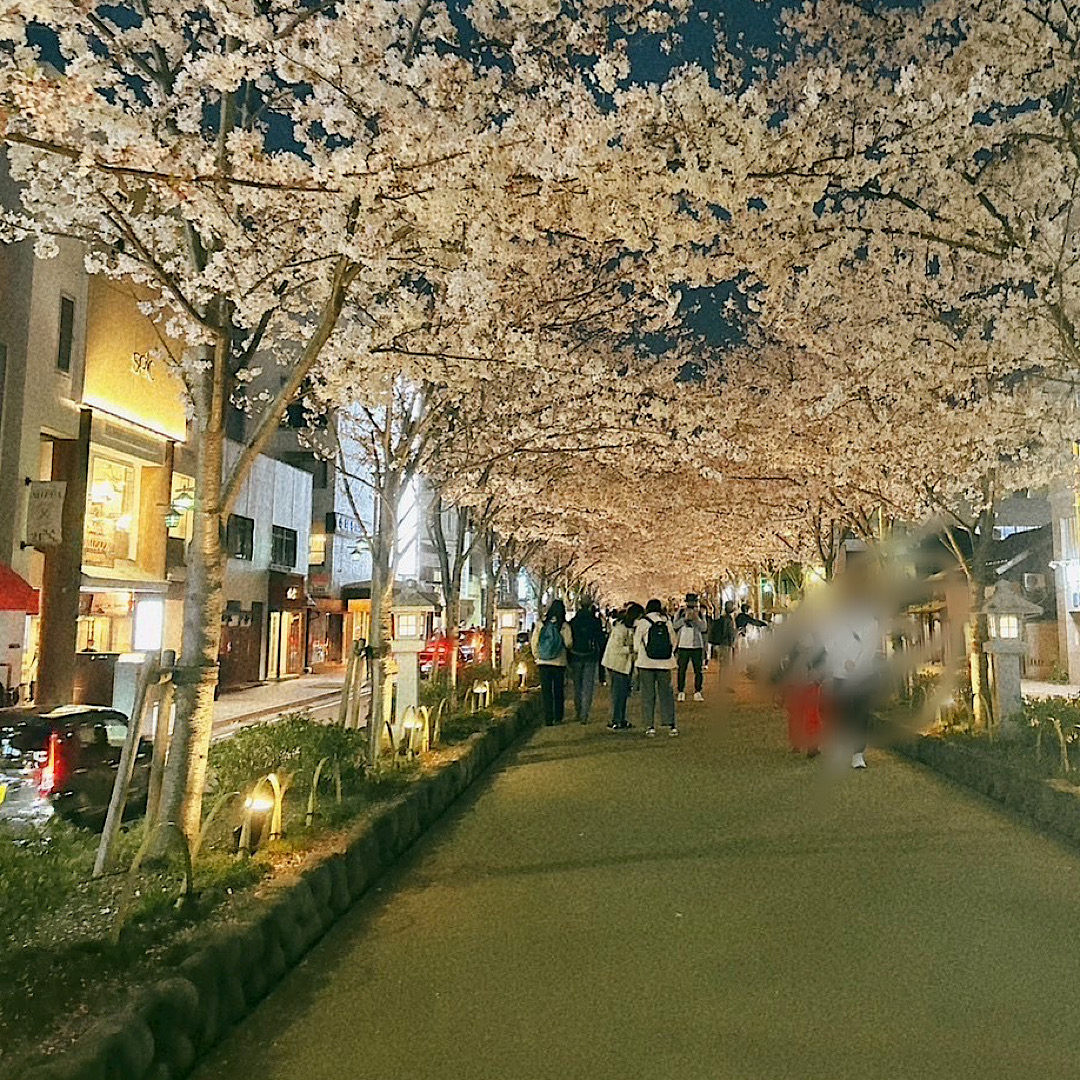 鎌倉　段葛