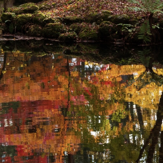 霜降(そうこう)の軽井沢