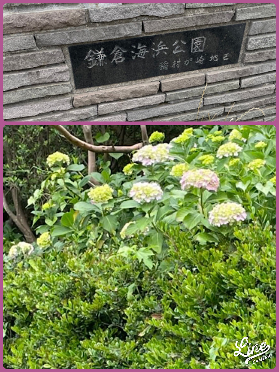 稲村ヶ崎に