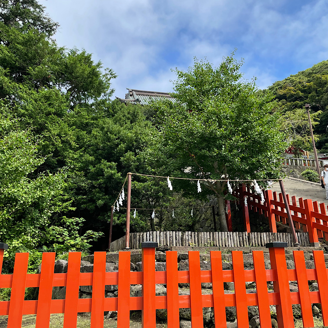 鶴岡八幡宮の大銀杏