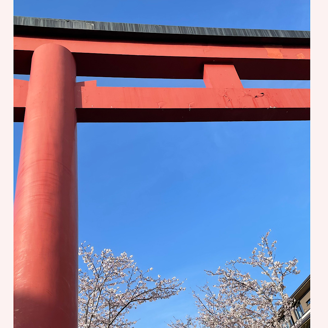春たけなわ