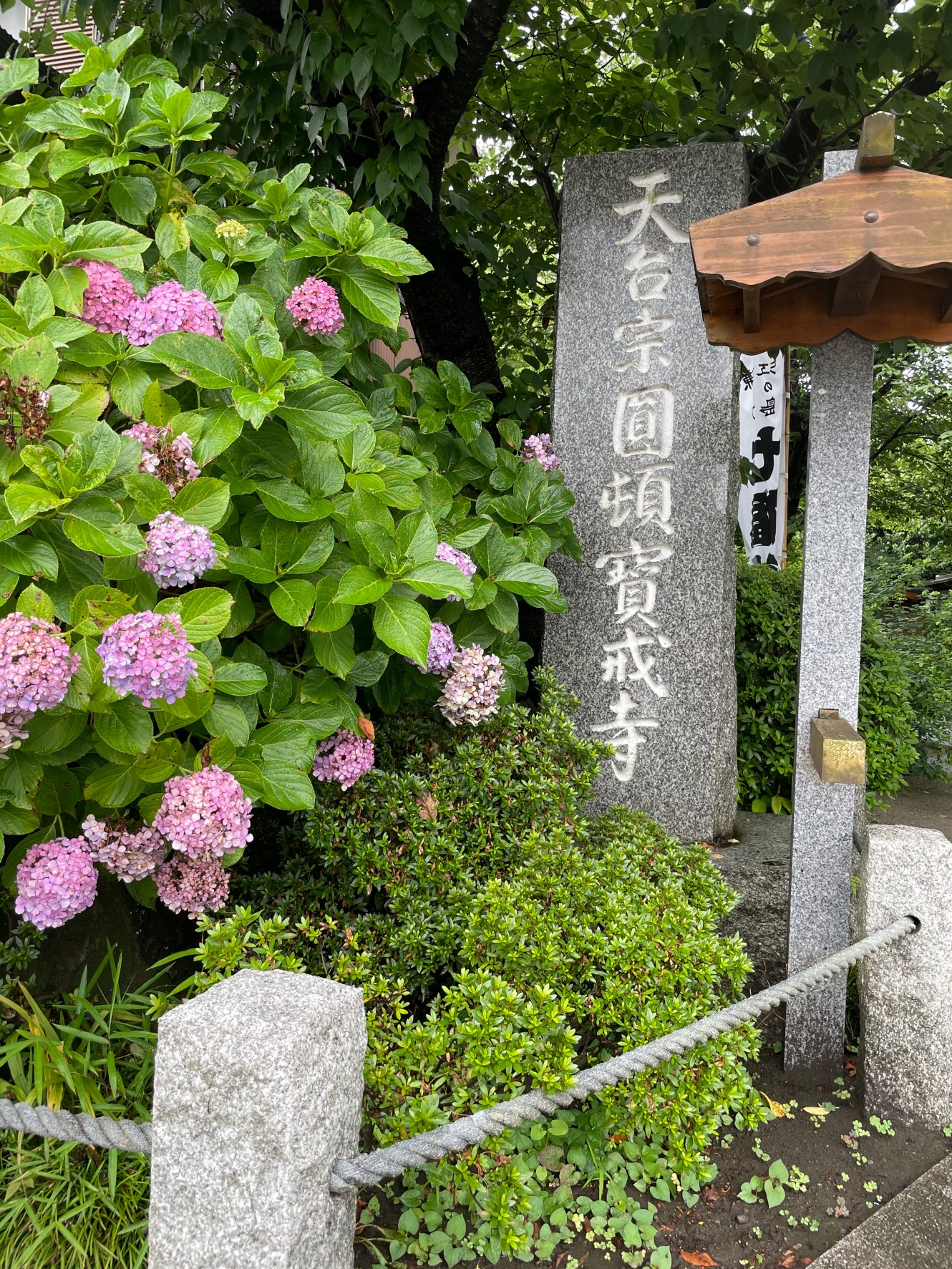 雨の鎌倉