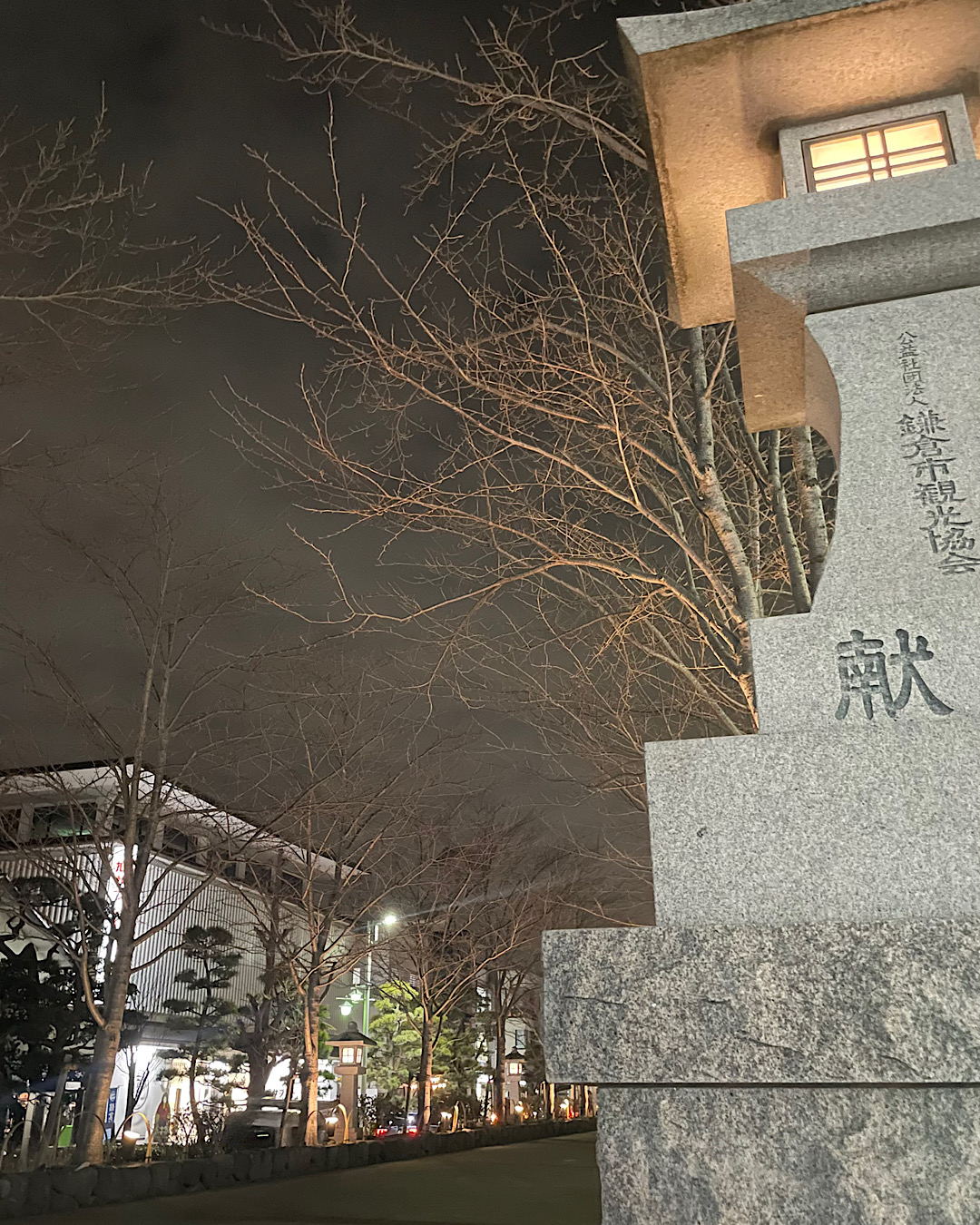 ハル遠し　鎌倉